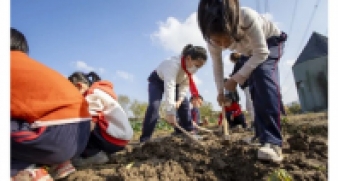 一碗炒飯，一日農民，一種感恩。